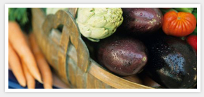 group of vegetables