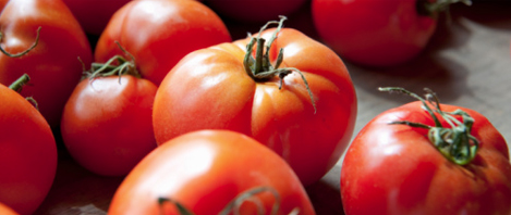 tomatoes